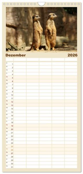 Produktbild: Familienplaner 2026 - Erdm&auml;nnchen: Zusammen sind wir stark mit 5 Spalten (Wandkalender, 21 x 45 cm) CALVENDO