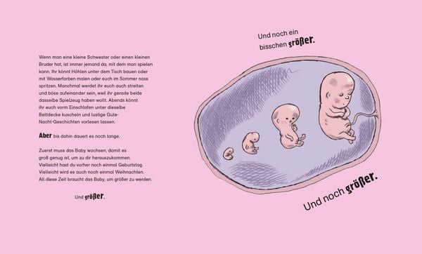 Produktbild: Wer wohnt denn da in Mamas Bauch?