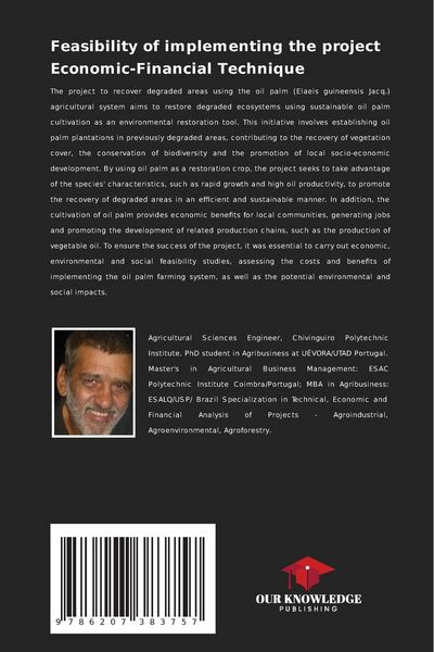 Produktbild: Feasibility of implementing the project Economic-Financial Technique
