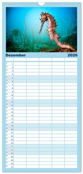 Produktbild: Familienplaner 2026 - Hippocampus oder einfach nur Seepferdchen mit 5 Spalten (Wandkalender, 21 x 45 cm) CALVENDO