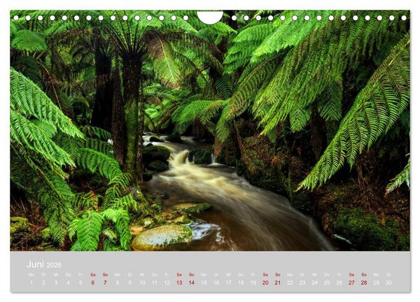 Produktbild: Tasmanien - Juwel am anderen Ende der Welt (Wandkalender 2026 DIN A4 quer), CALVENDO Monatskalender