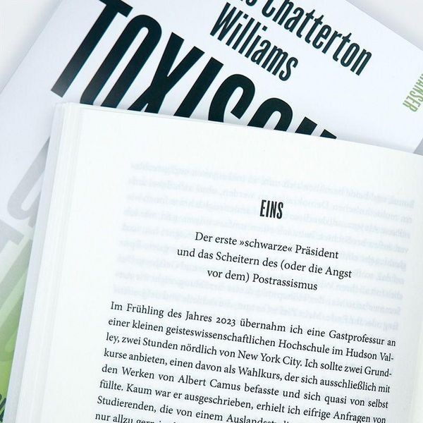 Produktbild: Toxische Gerechtigkeit
