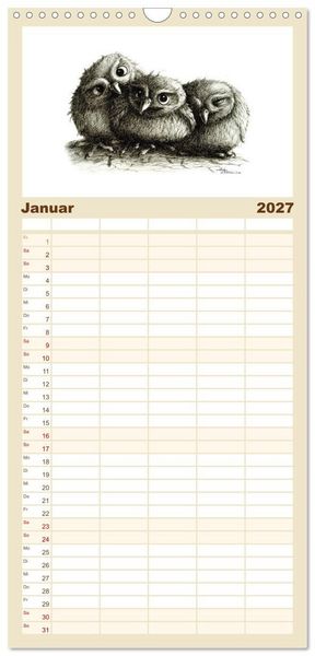 Produktbild: Familienplaner 2027 - owls & friends 2027 mit 5 Spalten (Wandkalender, 21 x 45 cm) CALVENDO