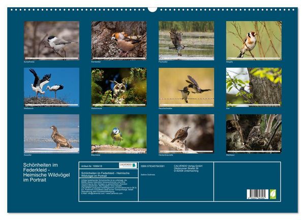Produktbild: Sch&ouml;nheiten im Federkleid - Heimische Wildv&ouml;gel im Portrait (Wandkalender 2026 DIN A2 quer), CALVENDO Monatskalender
