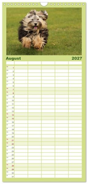Produktbild: Familienplaner 2027 - Havaneser - Wirbelwinde aus Kuba mit 5 Spalten (Wandkalender, 21 x 45 cm) CALVENDO