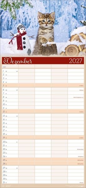 Produktbild: Cool Cats Familienplaner 2027