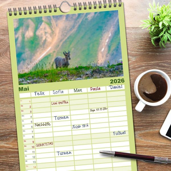 Produktbild: Familienplaner 2026 - Bergk&ouml;nige - Steinb&ouml;cke im Blickpunkt der Naturfotografie mit 5 Spalten (Wandkalender, 21 x 45 cm) CALVENDO