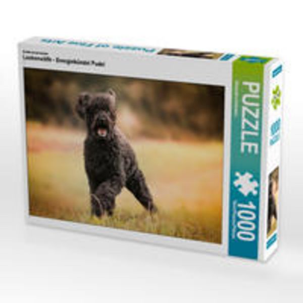 CALVENDO Puzzle Lockenwölfe - Energiebündel Pudel 1000 Teile Lege-Größe 64 x 48 cm Foto-Puzzle Bild von Alexandra Hollstein