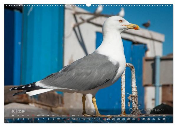 Produktbild: Marokko Maritim (Wandkalender 2026 DIN A2 quer), CALVENDO Monatskalender