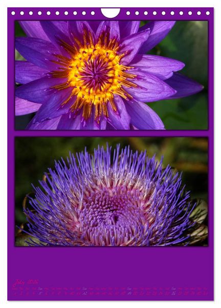 Produktbild: Colours of Nature / UK-Version (Wall Calendar 2026 DIN A4 portrait), CALVENDO 12 Month Wall Calendar