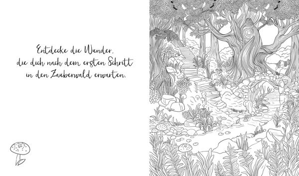 Produktbild: Zauberhafte Ausmalwelten