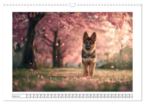 Produktbild: Treue, die bleibt. Emotionale Augenblicke mit Sch&auml;ferhunden. (Wandkalender 2027 DIN A3 quer), CALVENDO Monatskalender