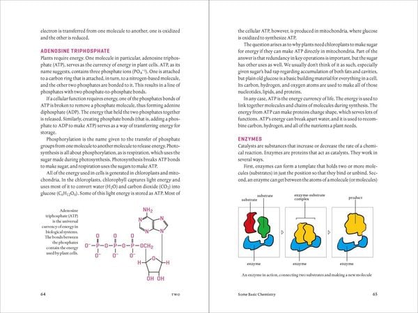 Produktbild: Teaming with Nutrients