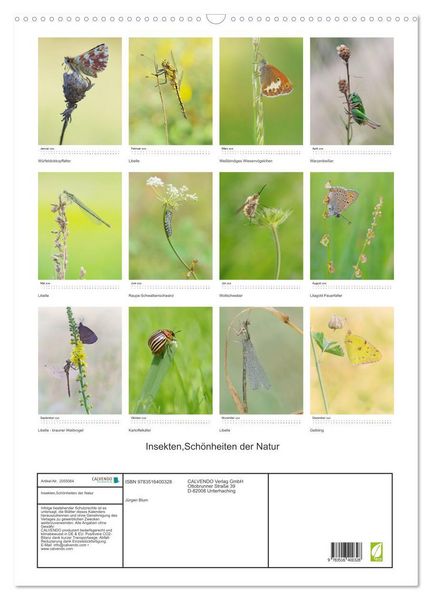 Produktbild: Insekten,Sch&ouml;nheiten der Natur (Wandkalender 2026 DIN A2 hoch), CALVENDO Monatskalender