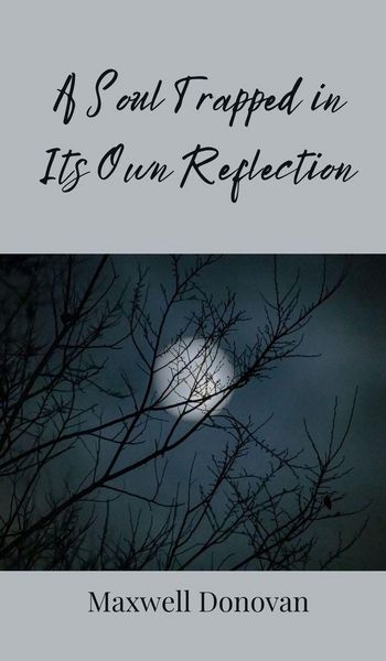 Produktbild: A Soul Trapped in Its Own Reflection
