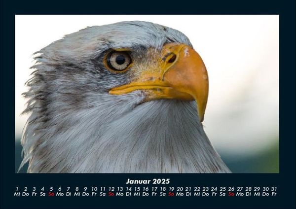 Produktbild: Adler 2025 Fotokalender DIN A4