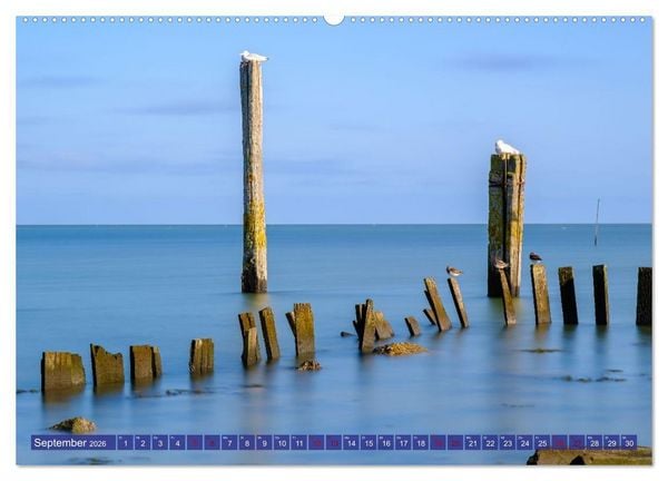 Produktbild: Ein Blick auf die Insel Texel (Wandkalender 2026 DIN A2 quer), CALVENDO Monatskalender