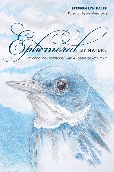 Produktbild: Ephemeral by Nature