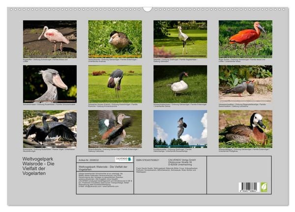 Produktbild: Weltvogelpark Walsrode - Die Vielfalt der Vogelarten (Wandkalender 2026 DIN A2 quer), CALVENDO Monatskalender