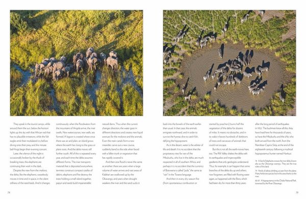 Produktbild: Encounters with Nature