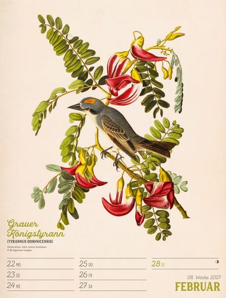 Produktbild: Wunderbare Vogelwelt Wochenplaner Kalender 2027