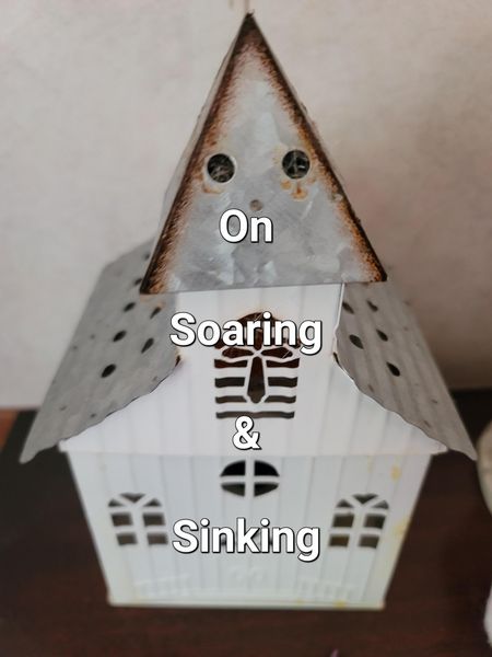 Produktbild: On Soaring & Sinking (Poetry Volume)