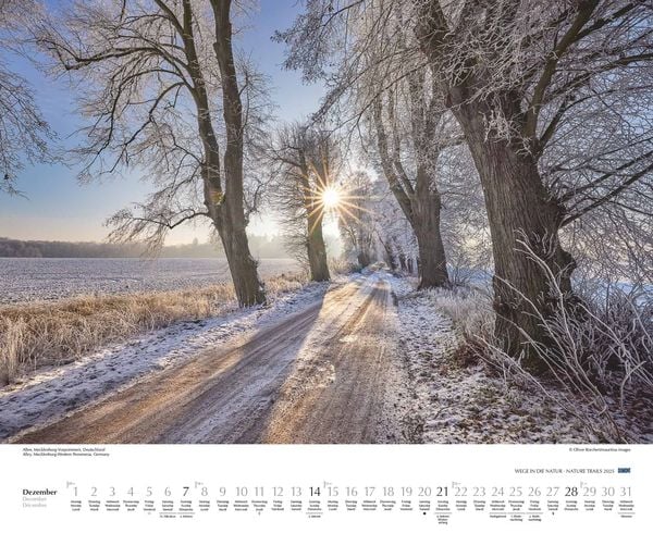 'DUMONT - Wege in die Natur 2025 Wandkalender, 52x42,5cm, Fotokunst 