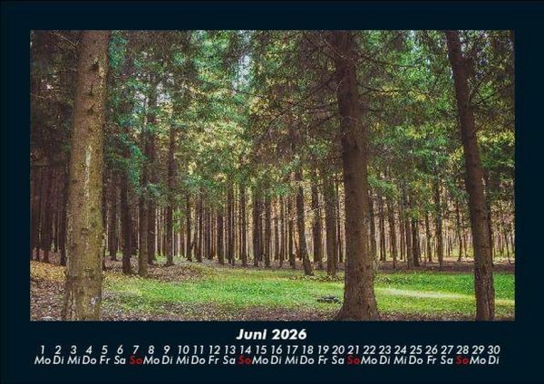 Produktbild: Waldzauber 2026 Fotokalender DIN A5