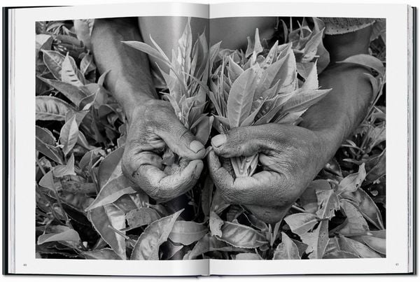 Produktbild: Sebasti&atilde;o Salgado