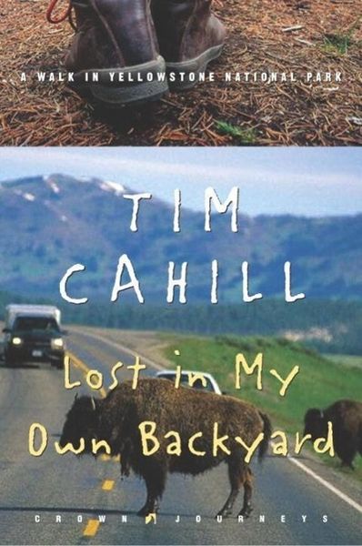 Produktbild: Lost in My Own Backyard