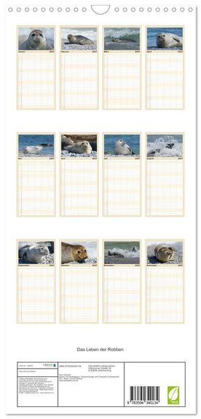 Produktbild: Familienplaner 2027 - Das Leben der Robben mit 5 Spalten (Wandkalender, 21 x 45 cm) CALVENDO