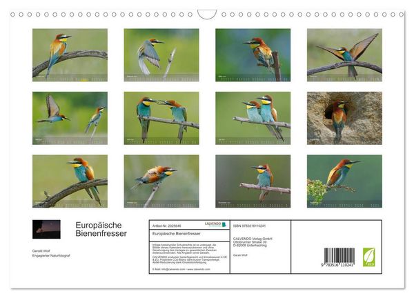 Produktbild: Europ&auml;ische Bienenfresser (Wandkalender 2026 DIN A3 quer), CALVENDO Monatskalender