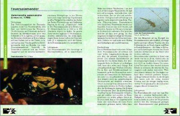 Produktbild: Amphibien am Gartenteich