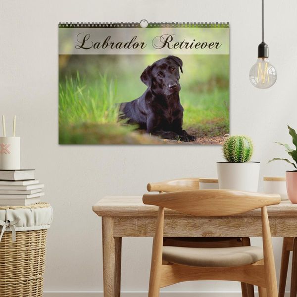 Produktbild: Labrador Retriever (Wandkalender 2026 DIN A3 quer), CALVENDO Monatskalender