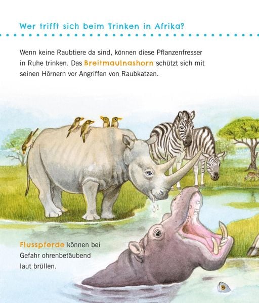Produktbild: Unkaputtbar: Erstes Wissen: Gro&szlig;e Tiere
