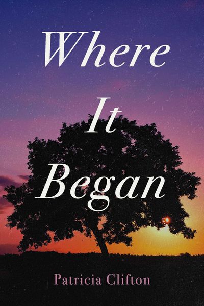 Produktbild: Where It Began