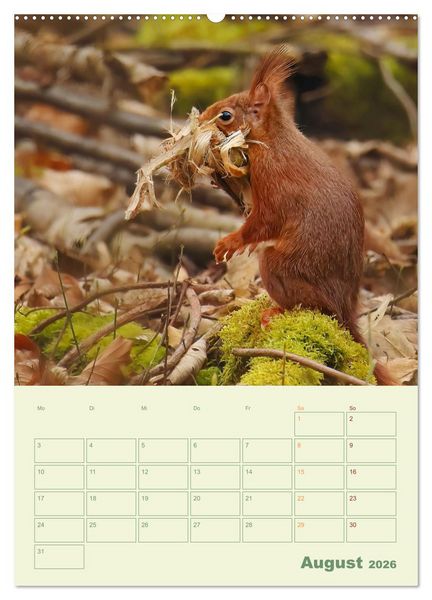 Produktbild: Waldmomente (hochwertiger Premium Wandkalender 2026 DIN A2 hoch), Kunstdruck in Hochglanz