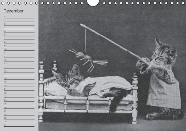 Produktbild: Katzen und Hunde - Nostalgie auf Pfoten (Wandkalender immerw&auml;hrend DIN A4 quer)