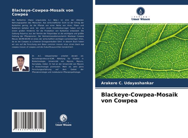 Produktbild: Blackeye-Cowpea-Mosaik von Cowpea