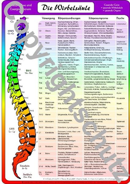 Wirbelsäulenzonen Übersichtskarte, Sonstige von Tanja Aeckersberg, Aeckersberg, Ingrid, 9783940832290