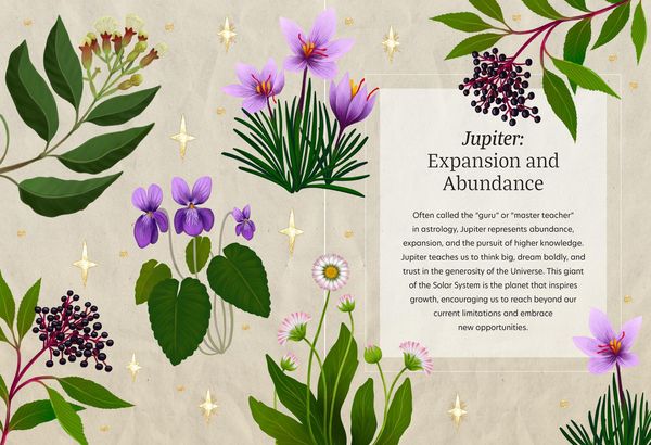 Produktbild: Astro Herbalism