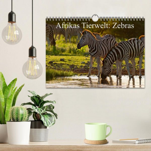 Produktbild: Afrikas Tierwelt: Zebras (Wandkalender 2026 DIN A4 quer), CALVENDO Monatskalender
