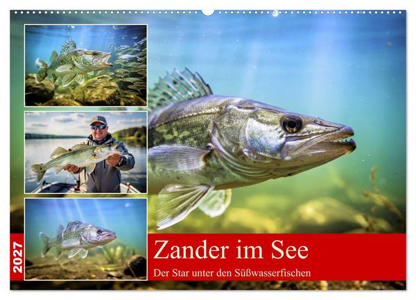 Produktbild: Zander im See (Wandkalender 2027 DIN A2 quer), CALVENDO Monatskalender