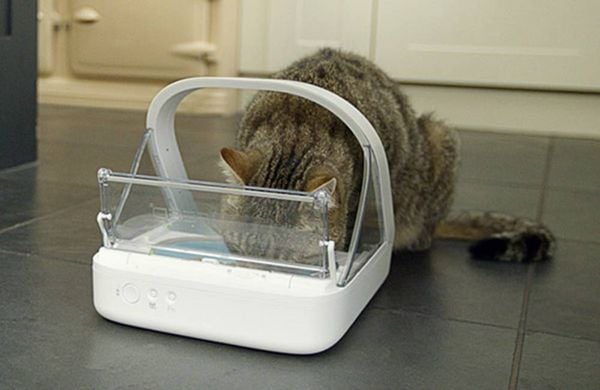 Produktbild: SureFeed Futterautomat Mikrochip chucker 400 ml Hund, Katze Wei&szlig; Steuerung &uuml;ber Chip oder RFID-Anh&auml;nger, Automatisch schlie&szlig;ender Deckel, f&uuml;r Nas