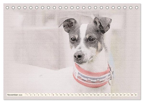 Produktbild: Bodeguero Andaluz 2026 (Tischkalender 2026 DIN A5 quer), CALVENDO Monatskalender