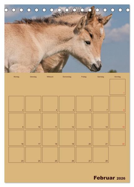 Produktbild: Pferde Gute Freunde (Tischkalender 2026 DIN A5 hoch), CALVENDO Monatskalender