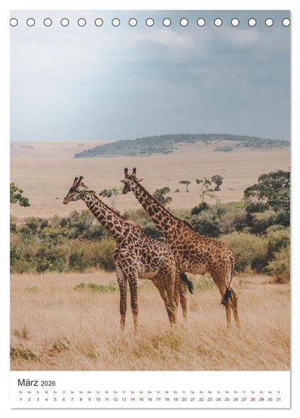 Produktbild: Giraffe - Bemerkenswerte Tiere. (Tischkalender 2026 DIN A5 hoch), CALVENDO Monatskalender