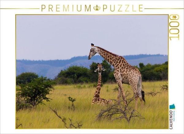 Produktbild: CALVENDO Puzzle Unterwegs im Caprivi-Streifen, Namibia | 1000 Teile Lege-Gr&ouml;&szlig;e 64x48cm Foto-Puzzle f&uuml;r gl&uuml;ckliche Stunden