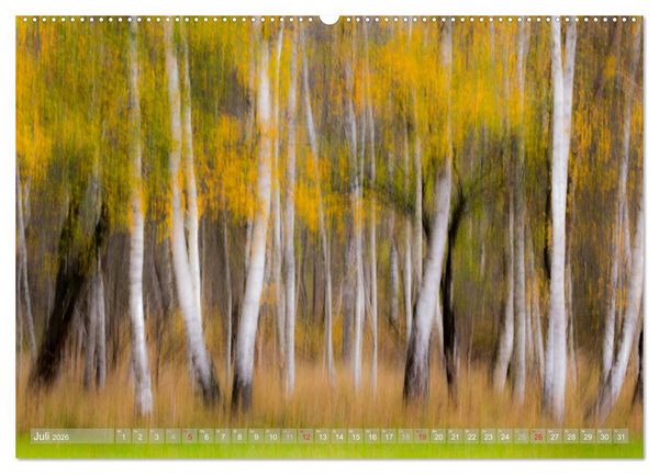 Produktbild: Atelier Wald - gemalt mit Licht (hochwertiger Premium Wandkalender 2026 DIN A2 quer), Kunstdruck in Hochglanz