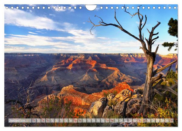 Produktbild: Grand Canyon National Park (Wall Calendar 2026 DIN A4 landscape), CALVENDO 12 Month Wall Calendar